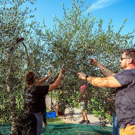 Agriturismo Biologico Diacceroni Villamagna  ภายนอก รูปภาพ