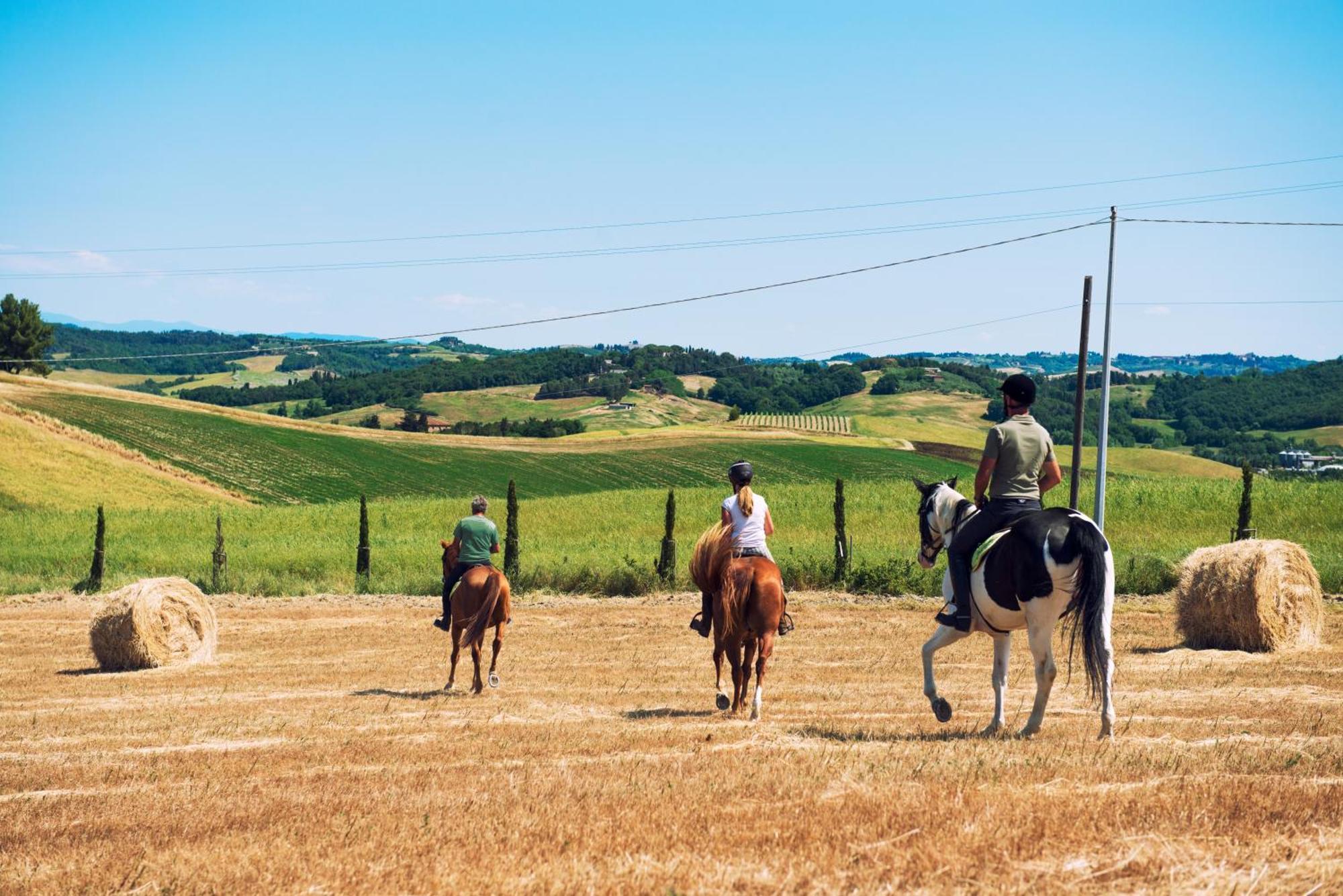 Agriturismo Biologico Diacceroni Villamagna  ภายนอก รูปภาพ