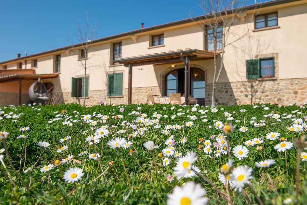 Agriturismo Biologico Diacceroni Villamagna  ภายนอก รูปภาพ
